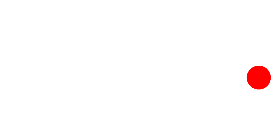 BOB. Reels Ninja